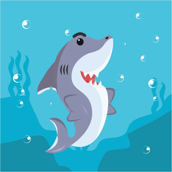 Tiburón carácter sonrisa vector ilustración diseño — Vector de stock