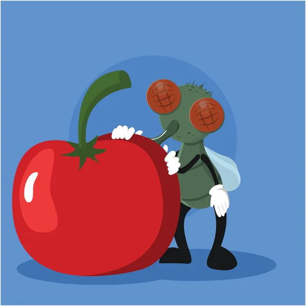 Vliegen eten tomaat vector illustratie ontwerp — Stockvector