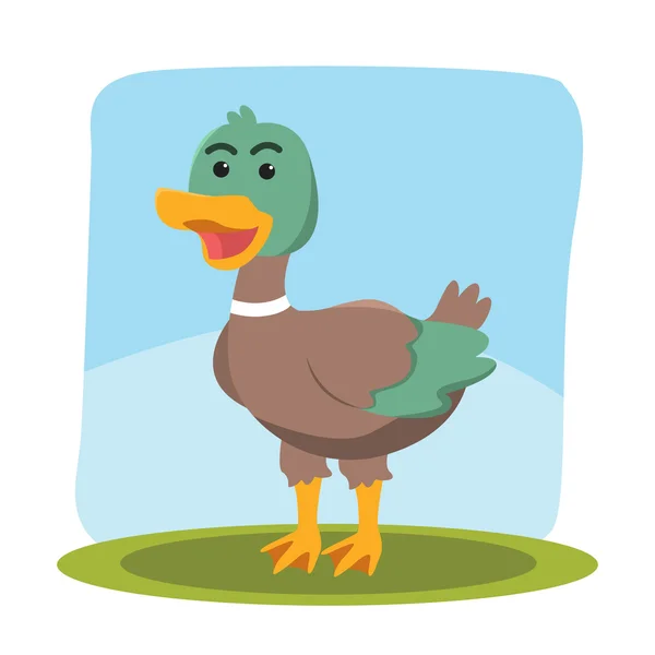 Eend Characterdesign vector illustratie — Stockvector