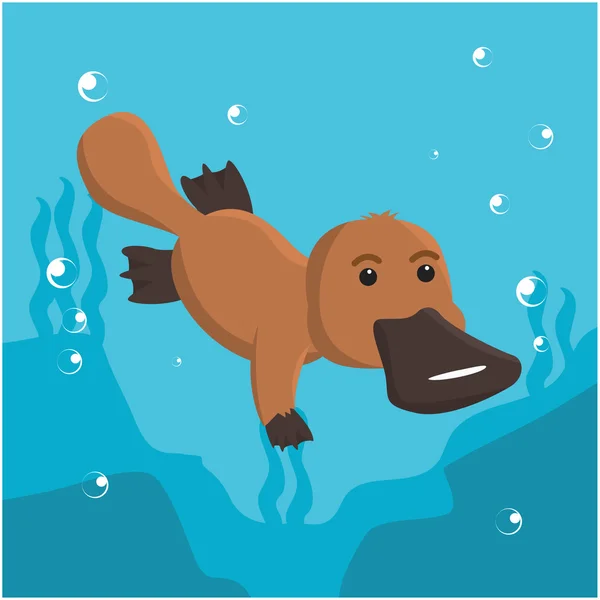 Desenho de ilustração de vetor de natação de ornitorrinco — Vetor de Stock
