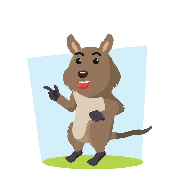 Quokka Characterdesign vector illustratie — Stockvector