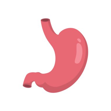 insan mide çizim tasarım