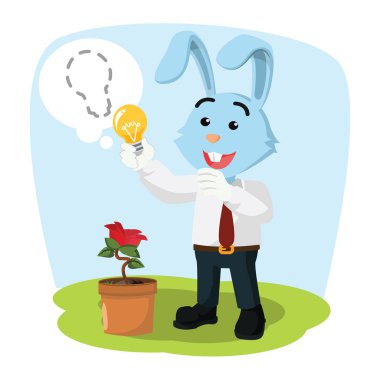 iş tavşan hasat ampul