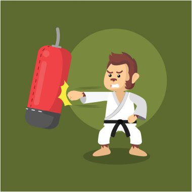 maymun karateka kum torbası