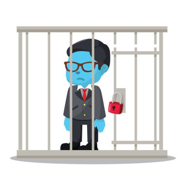 Mavi işadamı hapse