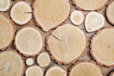 duvar, ahşap, kesim ahşap disklerin arka plan