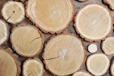 duvar, ahşap, kesim ahşap disklerin arka plan