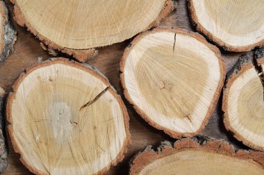 duvar, ahşap, kesim ahşap disklerin arka plan