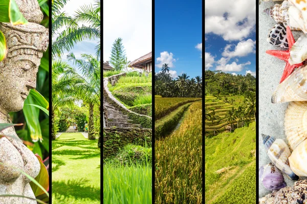 Bali collage of images in strips — Stock Photo, Image