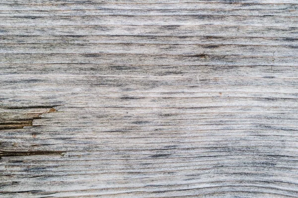 Textura barnizada de madera gris viejo — Foto de Stock