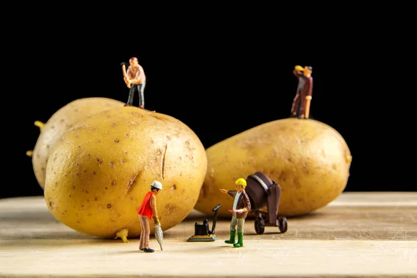 Трудная команда работает над тем, чтобы сделать лучший картофель возможно — стоковое фото