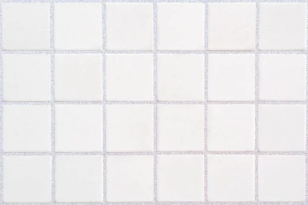 White ceramic tile with 24 squares in rectangular form with silver fiilng — Stock Photo, Image