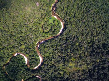 Yağmur ormanları, Brezilya Nehri'nin Üstten Görünüm