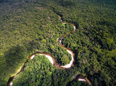 Yağmur ormanları, Brezilya Nehri'nin Üstten Görünüm