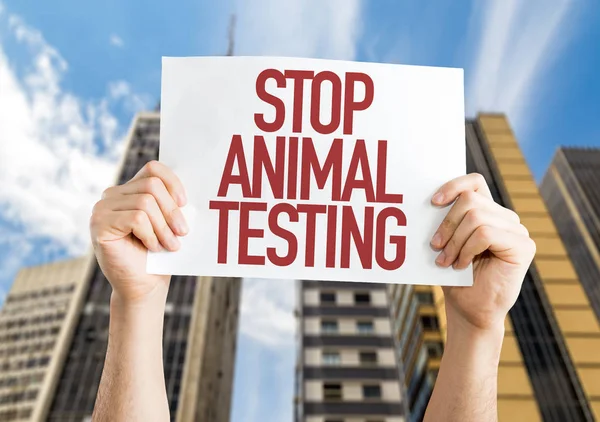 Sinal parar testes em animais — Fotografia de Stock