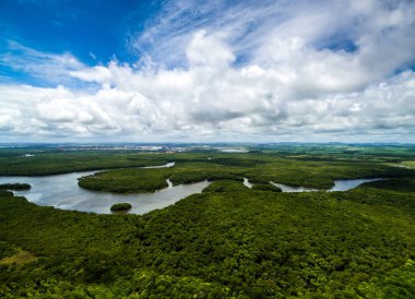 Aerial Shot of Amazon rainforest  clipart