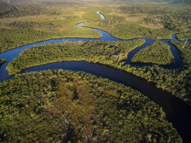 Yağmur ormanlarında Nehri'nin görünümü