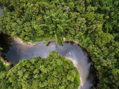 Yağmur ormanlarında Nehri'nin görünümü