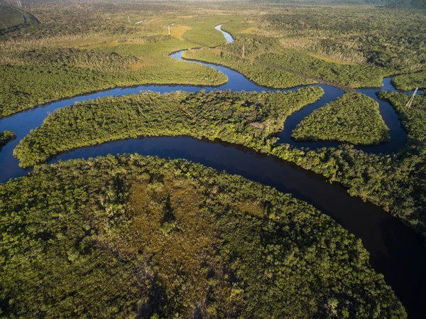 Vista del fiume nella foresta pluviale — Foto Stock