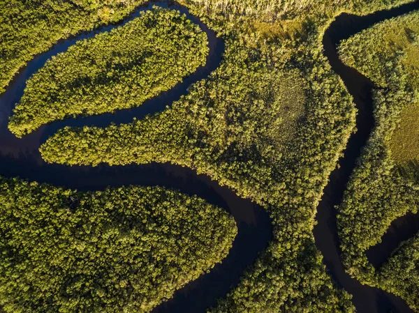 Вид на річку в тропічних лісах — стокове фото