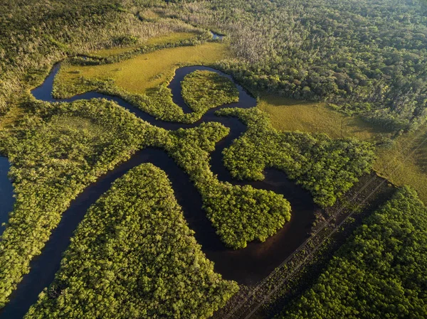 Vista del fiume nella foresta pluviale — Foto Stock