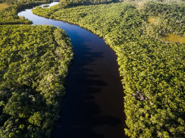 Widok na rzekę w Rainforest — Zdjęcie stockowe