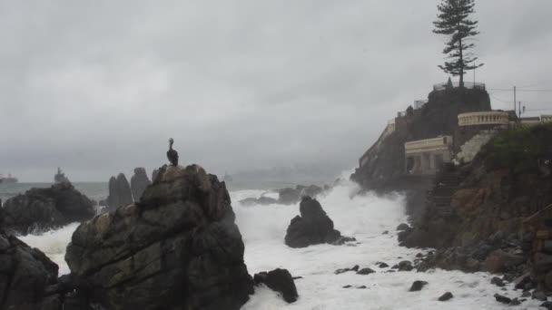デルマール、チリ経由で嵐の海 — ストック動画
