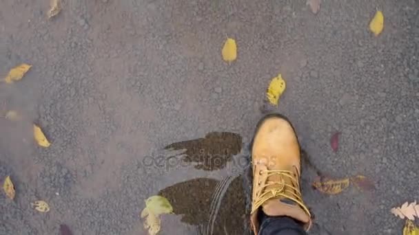 Punto de vista de caminar sobre hojas de otoño — Vídeo de stock