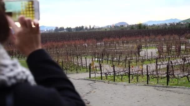 Mädchen beim Fotografieren eines Weinguts in santiago, Chile — Stockvideo