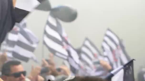 Sao Paulo, Brazilië - 07 mei 2017: menigte van voetbal Fans vieren in het stadion — Stockvideo