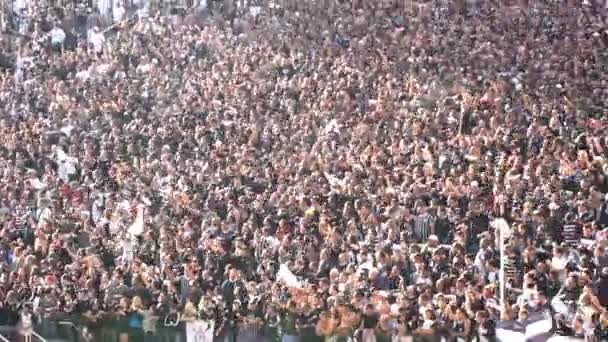 Sao Paulo, Brazilië - 07 mei 2017: menigte van voetbal Fans vieren in het stadion — Stockvideo