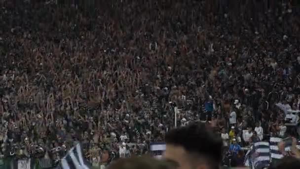 Sao Paulo, Brazilië - 07 mei 2017: menigte van voetbal Fans vieren in het stadion — Stockvideo