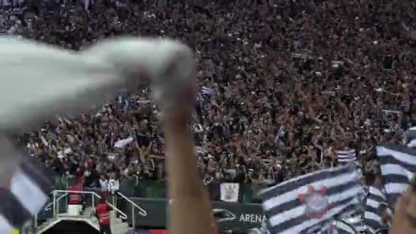 Sao Paulo, Brazilië - 07 mei 2017: menigte van voetbal Fans vieren in het stadion — Stockvideo