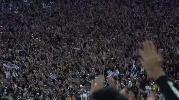 Sao Paulo, Brazília - 2017. május 07.: tömeg, az foci rajongók, ünnepli a stadion — Stock videók