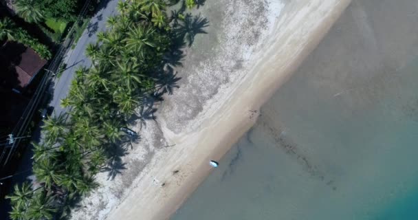 Luftaufnahme des Garapocaia-Strandes in ilhabela, Brasilien — Stockvideo