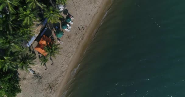 Bovenaanzicht van een strand — Stockvideo