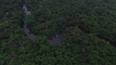 Yağmur ormanlarında, Latin Amerika Nehri'nin havadan görünümü