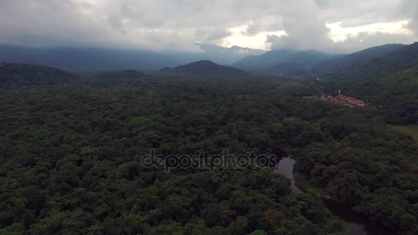Luftaufnahme des Regenwaldes, Lateinamerika — Stockvideo