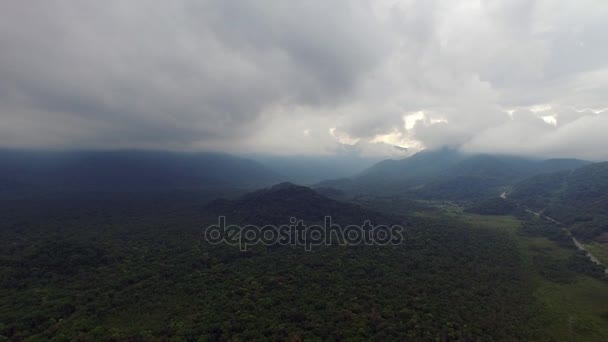 Vista aérea de la selva tropical, América Latina — Vídeo de stock