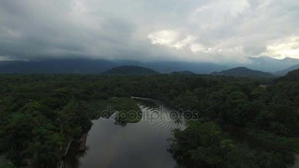 Luftaufnahme des Regenwaldes, Lateinamerika — Stockvideo