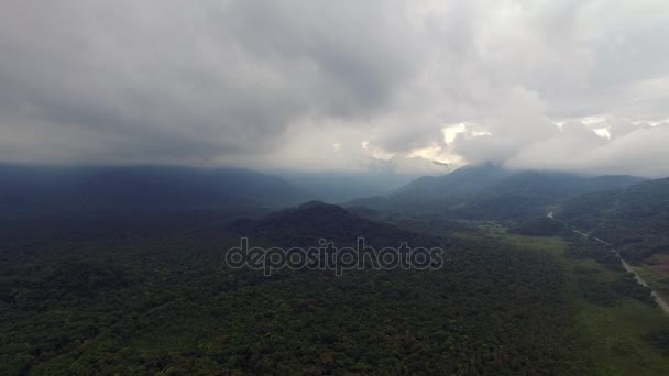 Vista aérea de la selva tropical, América Latina — Vídeo de stock