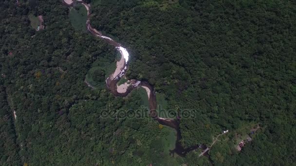 Top View of River in Rainforest, Latin America — Stock Video