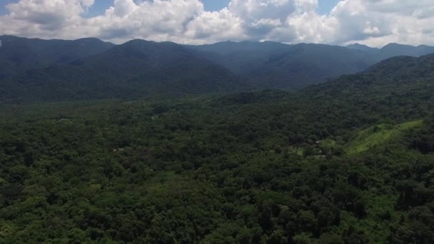 Veduta aerea della foresta pluviale, America Latina — Video Stock