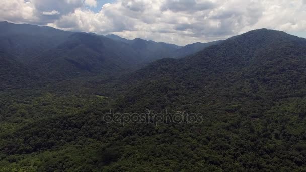 Pemandangan udara dari hutan hujan, Amerika Latin — Stok Video