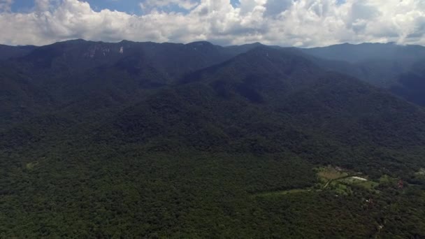 Vista aérea da floresta tropical, América Latina — Vídeo de Stock