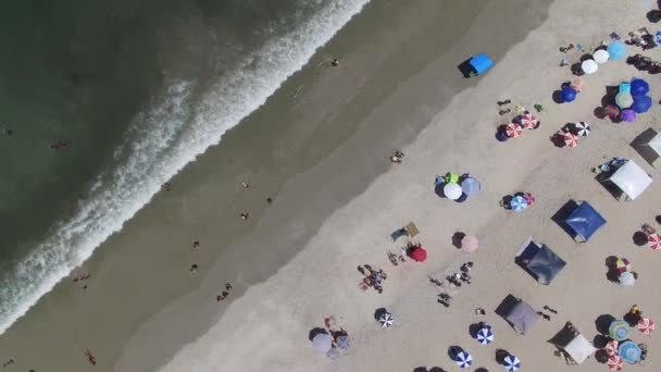 Vista superior de una playa — Vídeo de stock