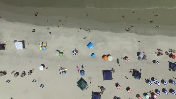 Blick von oben auf einen Strand — Stockvideo