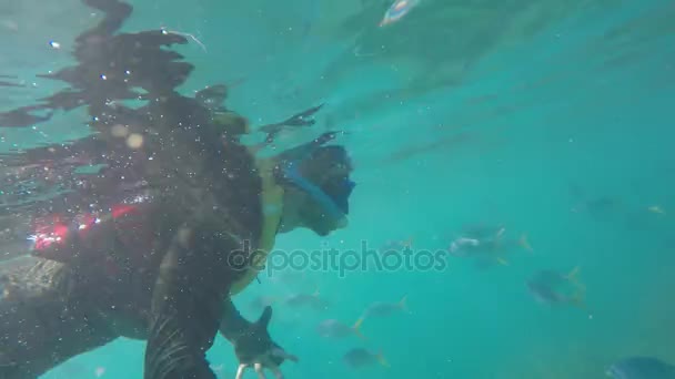 Selfie di immersioni subacquee nella Grande Barriera Corallina, Australia — Video Stock