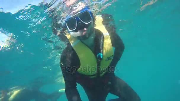 Selfie di immersioni subacquee nella Grande Barriera Corallina, Australia — Video Stock