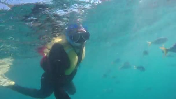 Potápění pod vodou selfie v Great Barrier Reef, Austrálie — Stock video